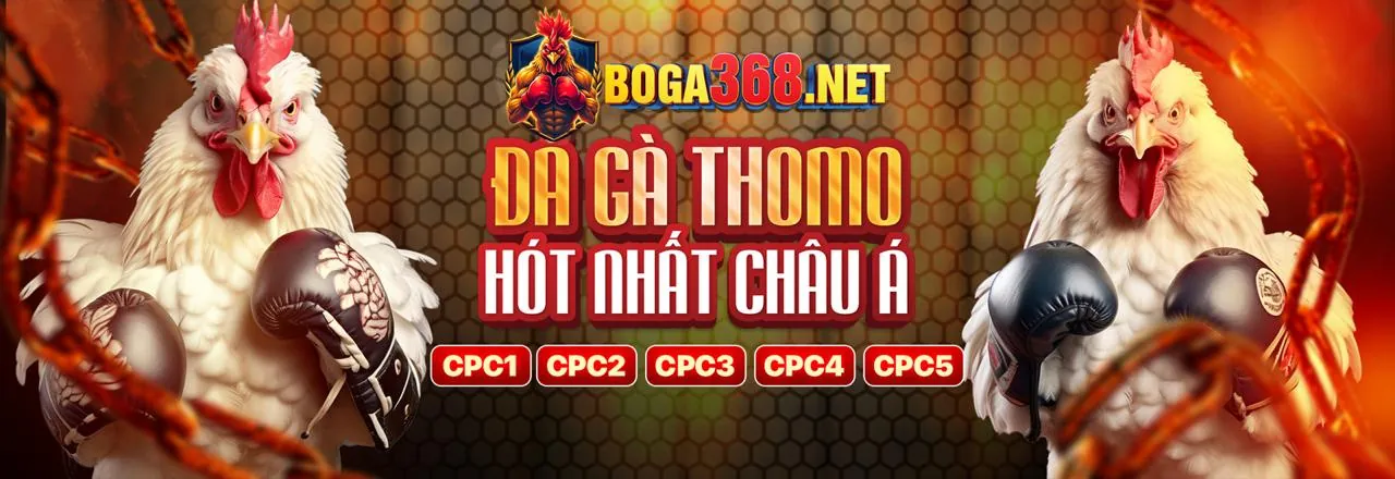 Tải ứng dụng Funn88 đăng nhập 2026 chính thức