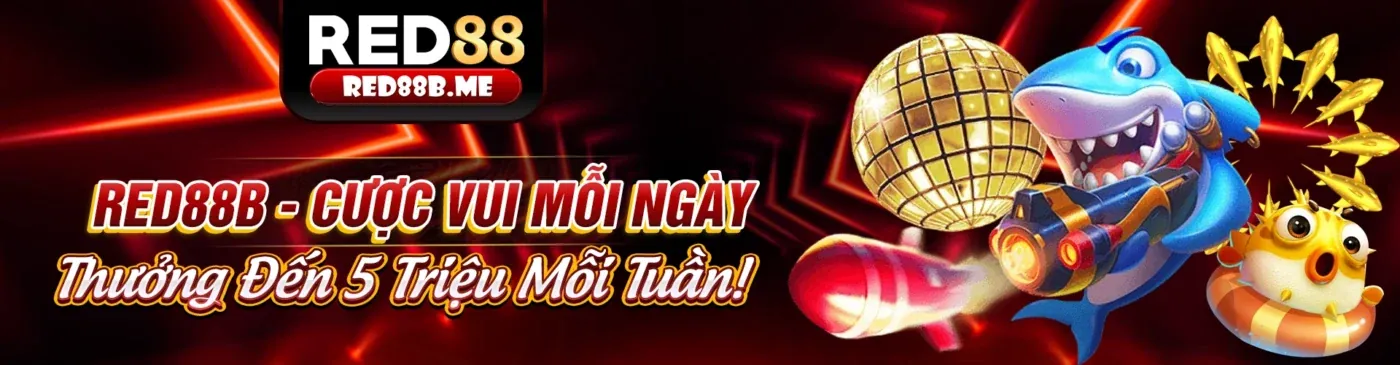 Các trận đá gà kịch tính tại funn88 đăng nhập 2026